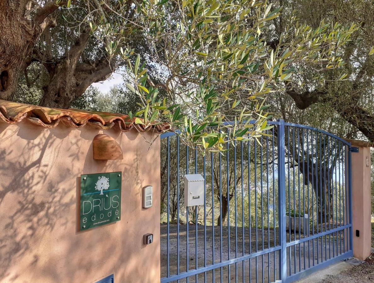 Drius Edode - B&B Affittacamere Torraca Exterior photo