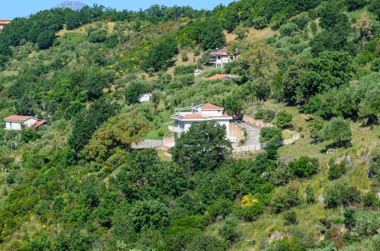 Drius Edode - B&B Affittacamere Torraca Exterior photo