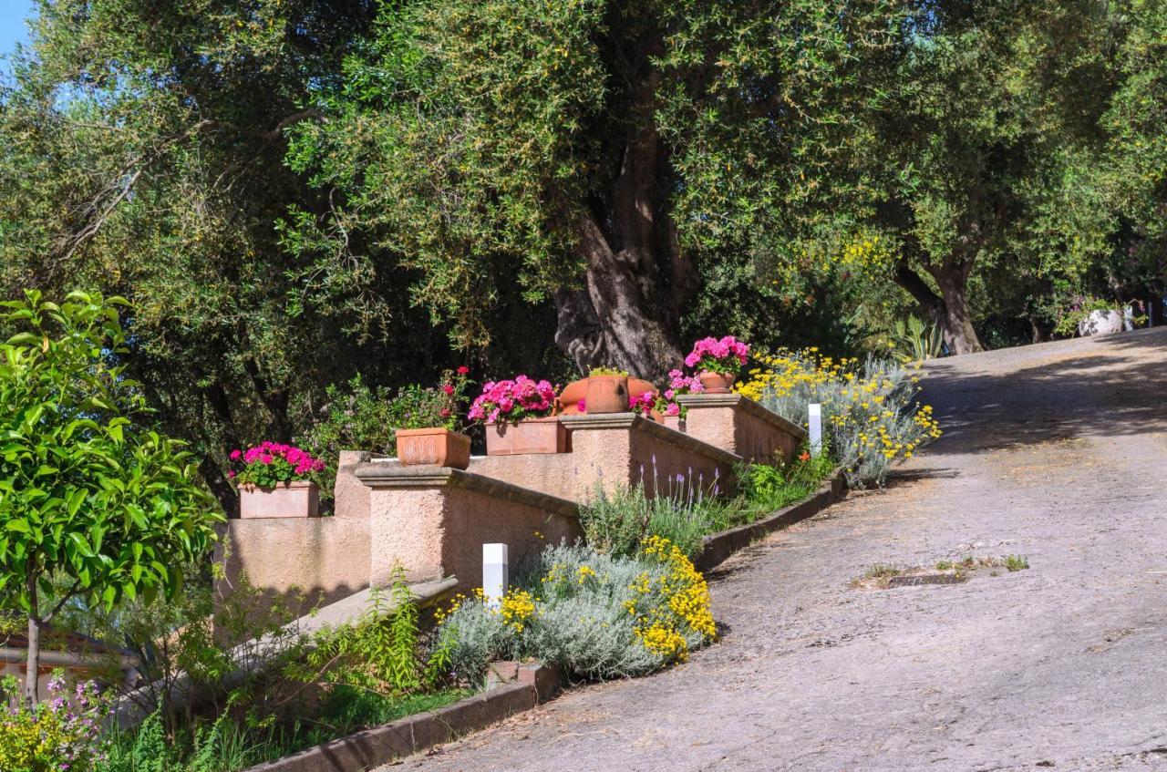 Drius Edode - B&B Affittacamere Torraca Exterior photo